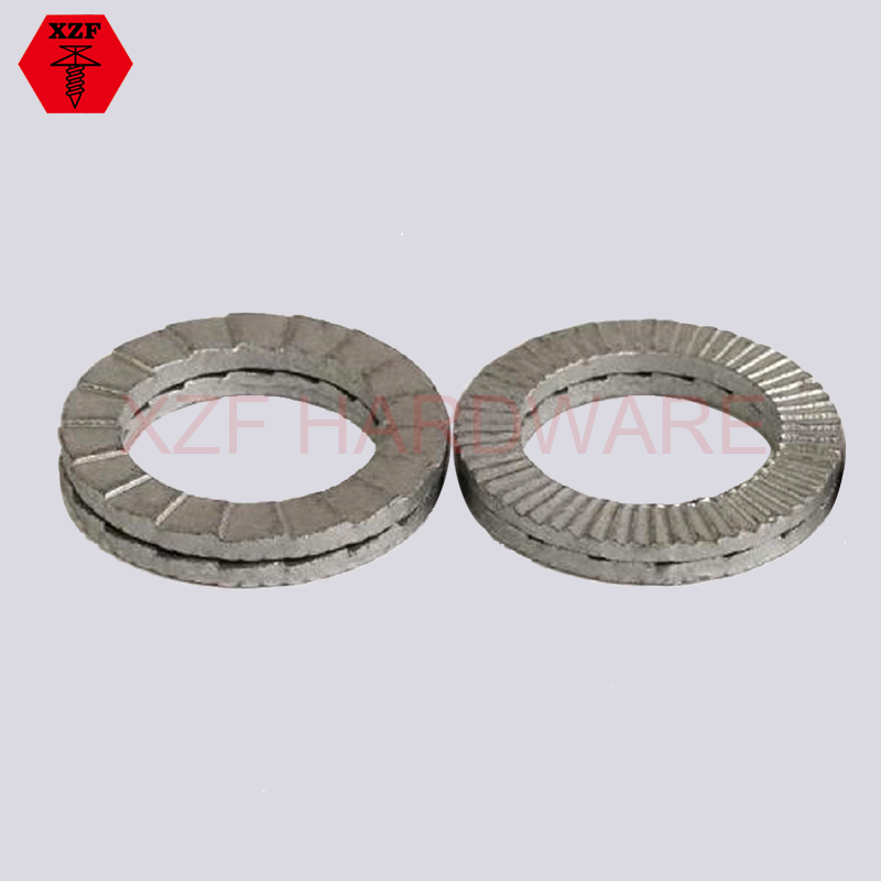 Teeth Washers